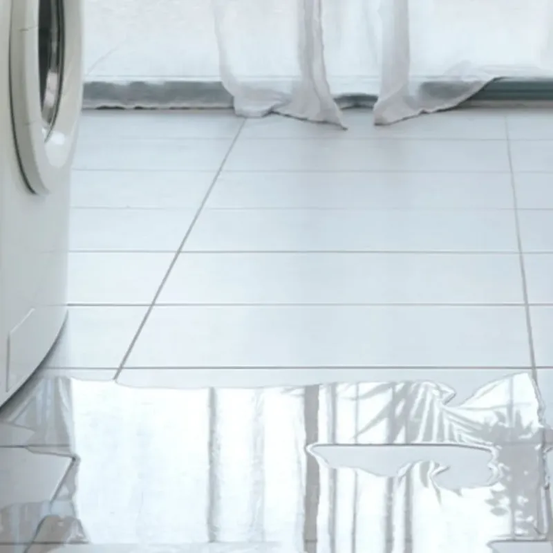 Appliance Leak Cleanup in Privateer, SC