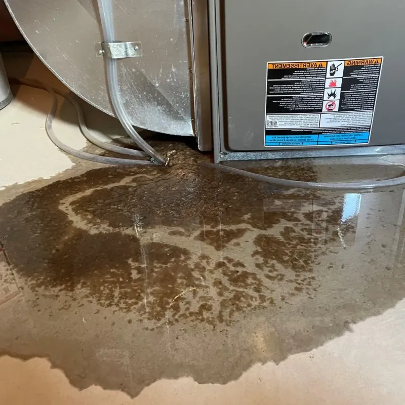 Pipe Burst and Leak Restoration in Privateer, SC